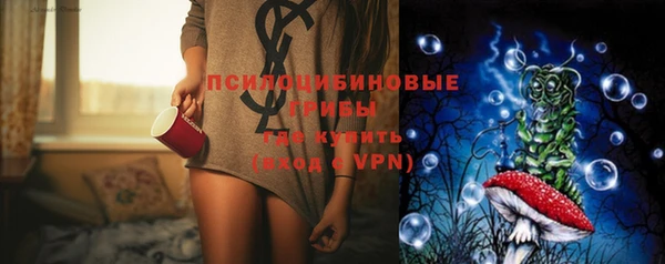 дмт Армянск