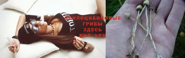 дмт Армянск